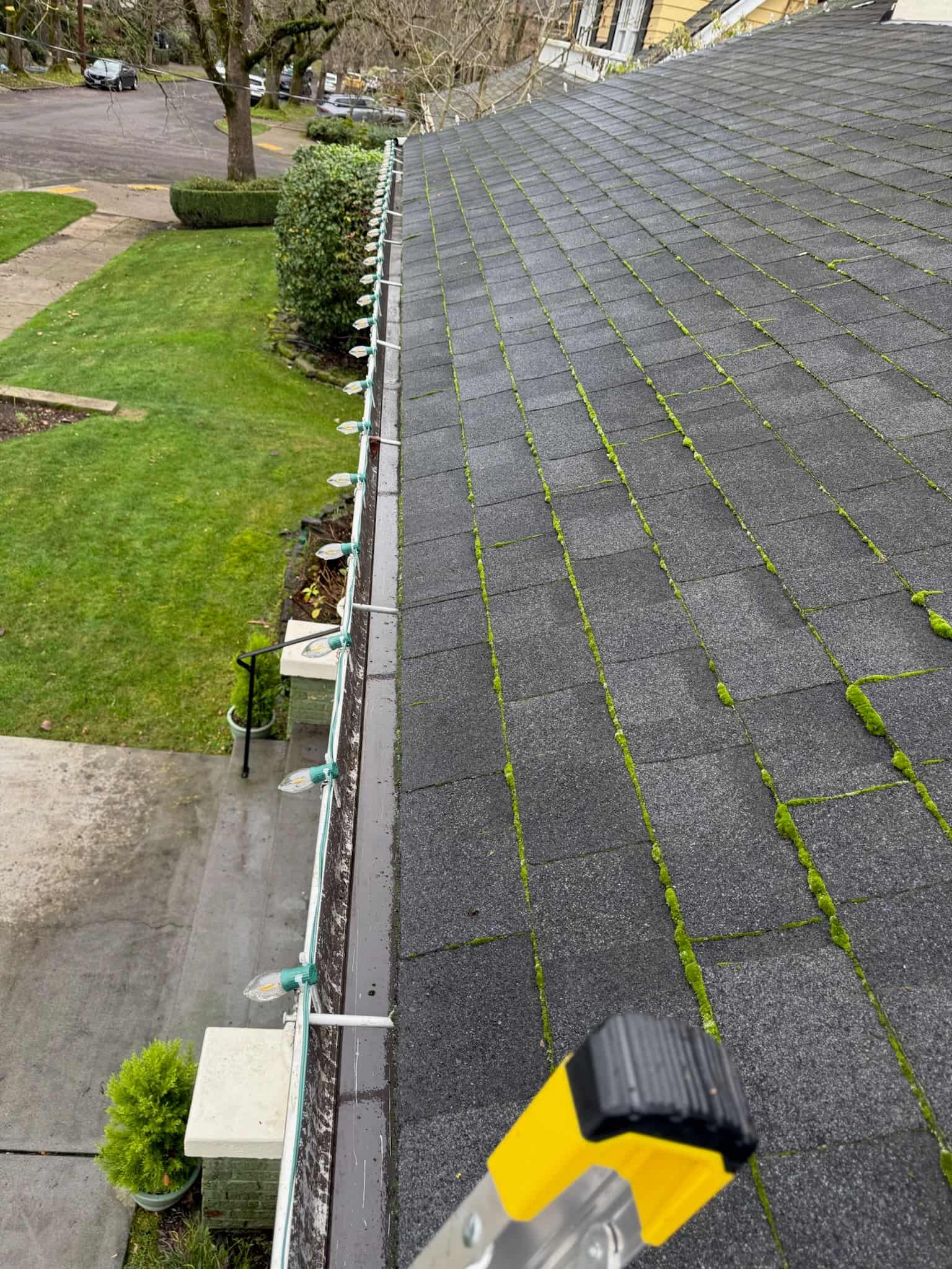 Contact Us - Alpine Roof and Gutter Cleaning