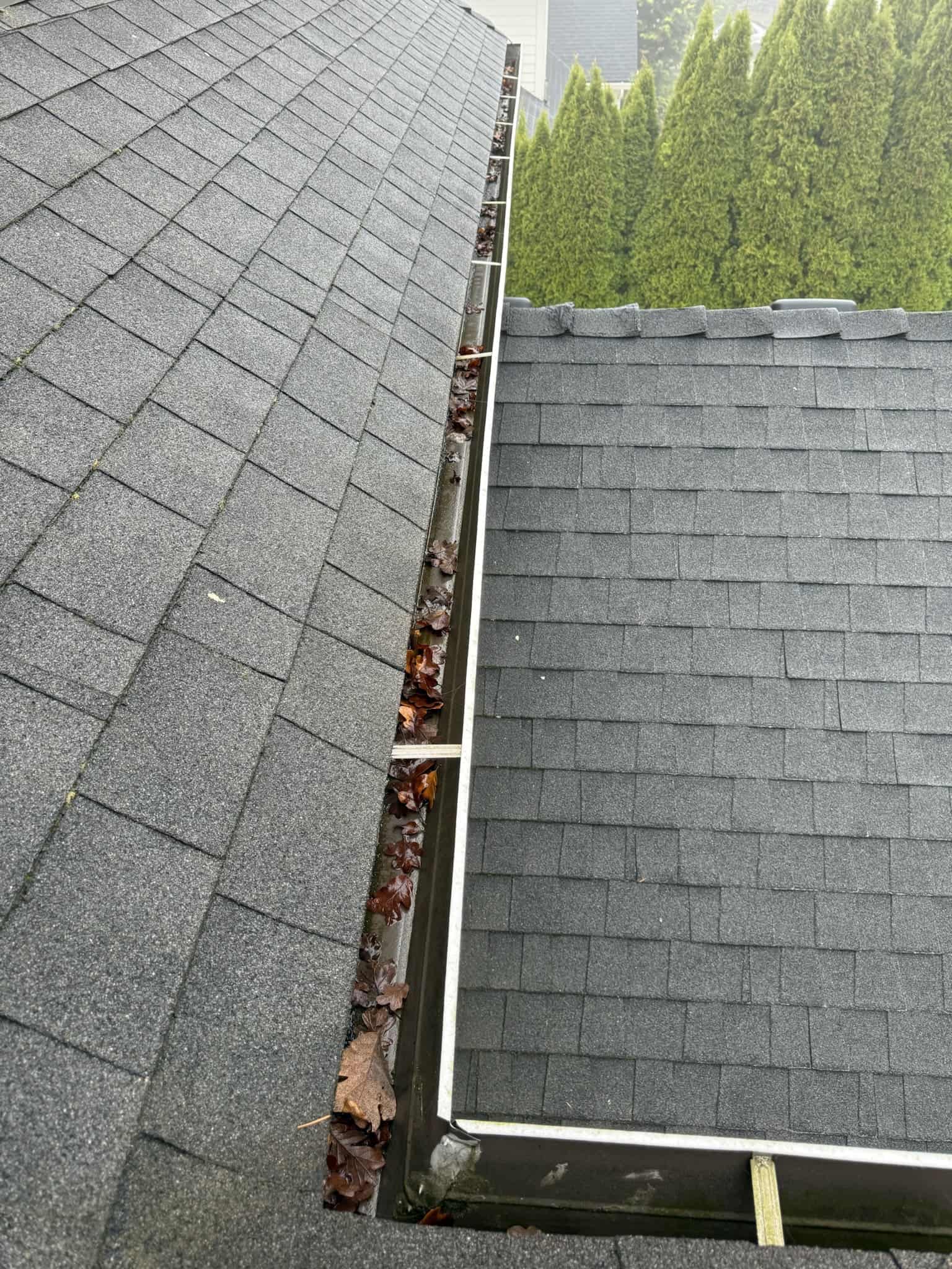Our Work - Alpine Roof and Gutter Cleaning