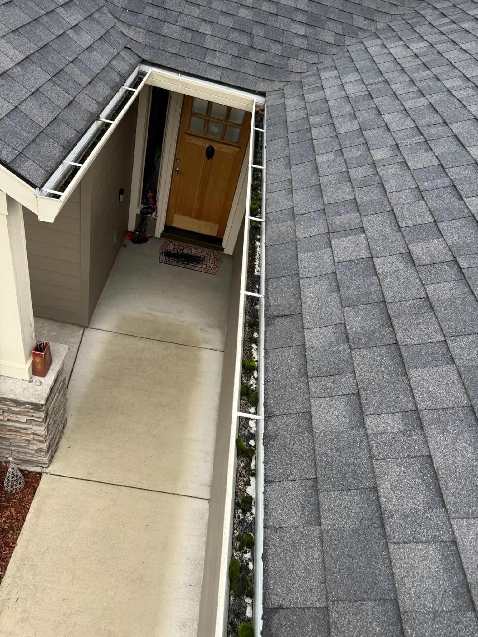 Professional Soft Washing in Vancouver, WA - Alpine Roof and Gutter Cleaning