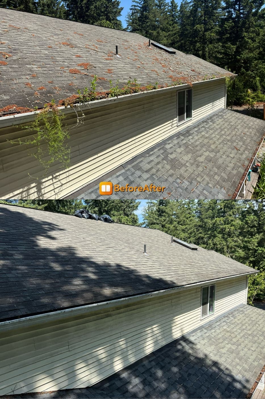 Before and after of a roof with moss and weeds restored to clean shingles