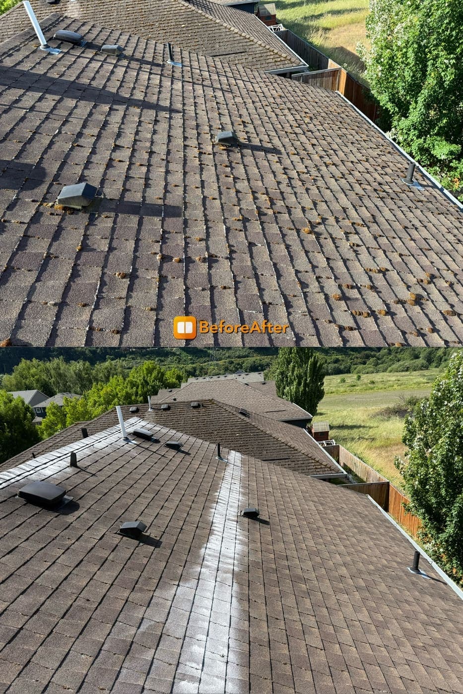 Before and after of a heavily mossy roof restored to clean shingles