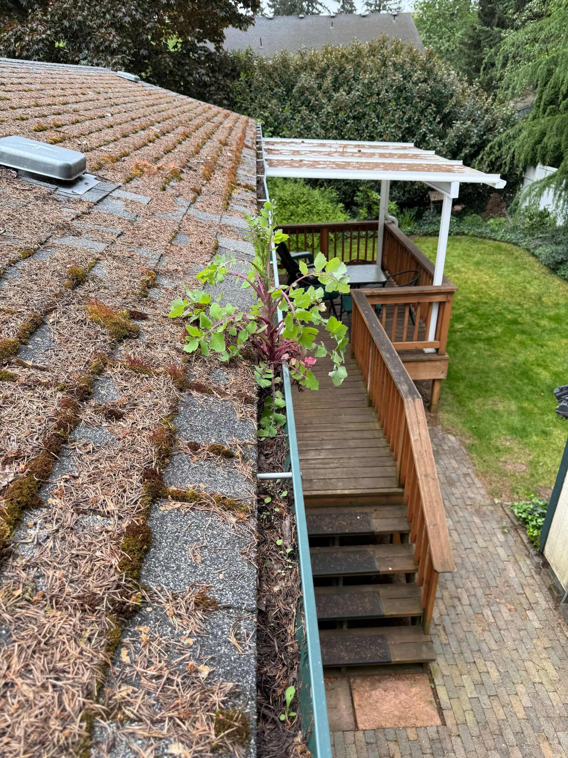 Professional Gutter Cleaning in Vancouver, WA - Alpine Roof and Gutter Cleaning