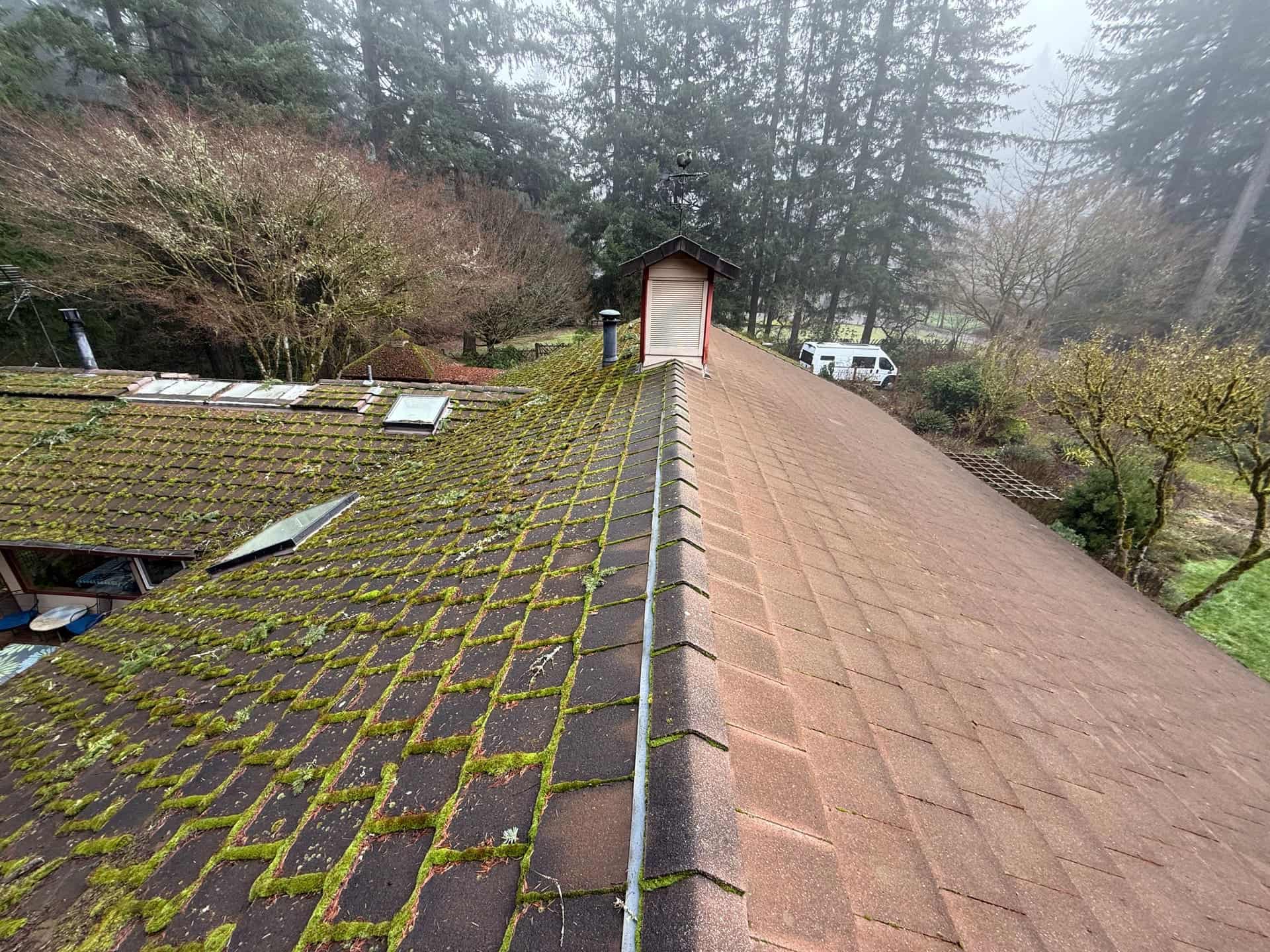 Professional Roof Cleaning in Vancouver, WA - Alpine Roof and Gutter Cleaning