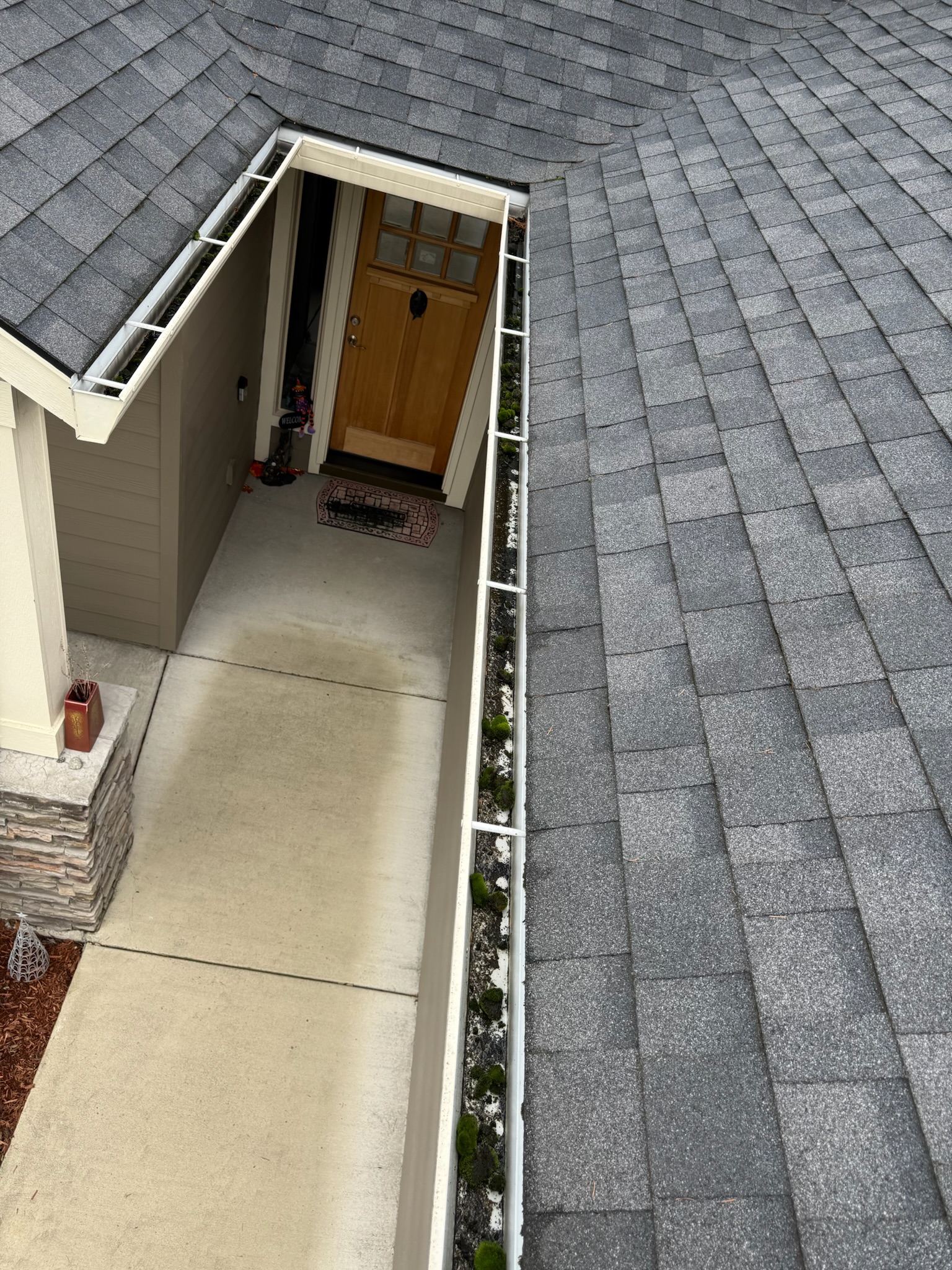 Gutters clogged with debris along roofline above front door entrance before gutter cleaning service