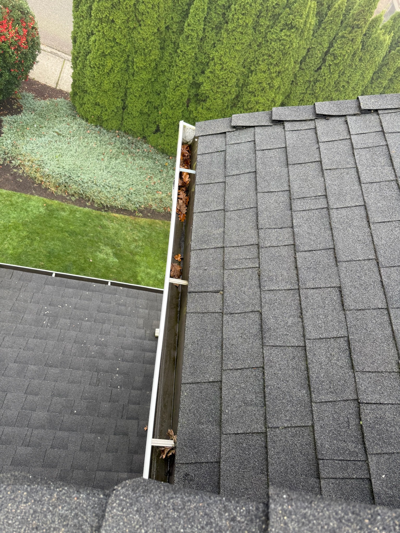Clogged gutter filled with leaves and debris between two roof sections viewed from above