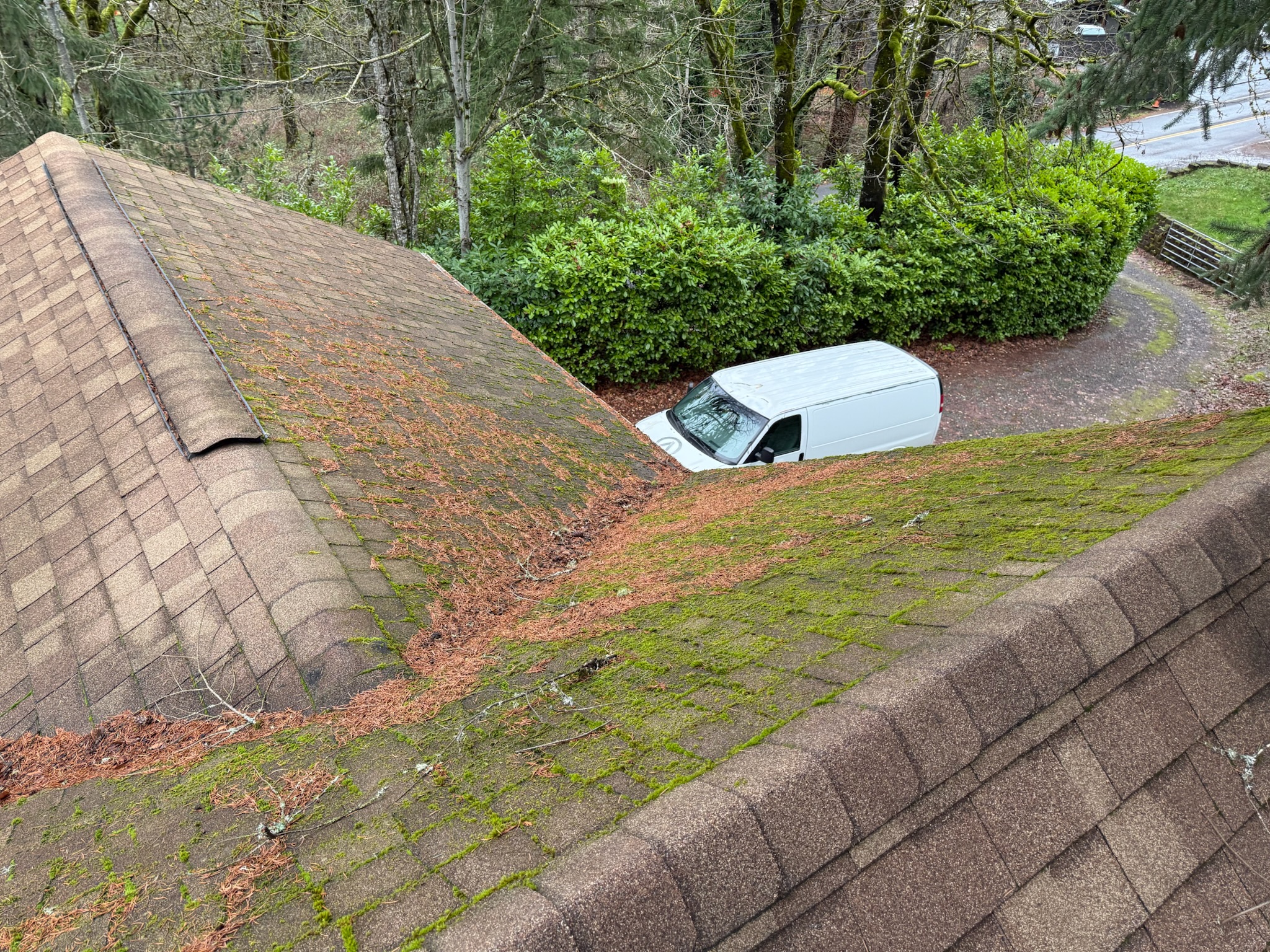 Alpine Roof and Gutter Cleaning work van parked at job site with mossy roof visible from above