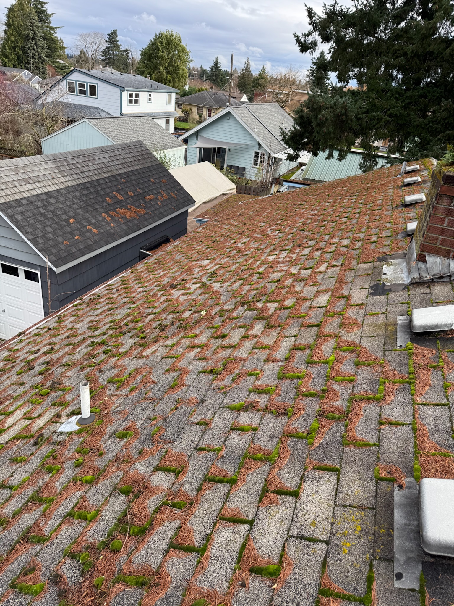 Moss and debris covering asphalt shingle roof in a Vancouver WA neighborhood before cleaning