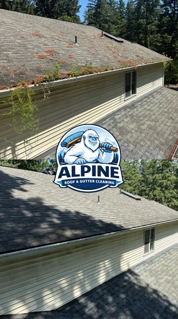 Plants growing out of a clogged gutter (top) and the same gutter cleared after cleaning (bottom)