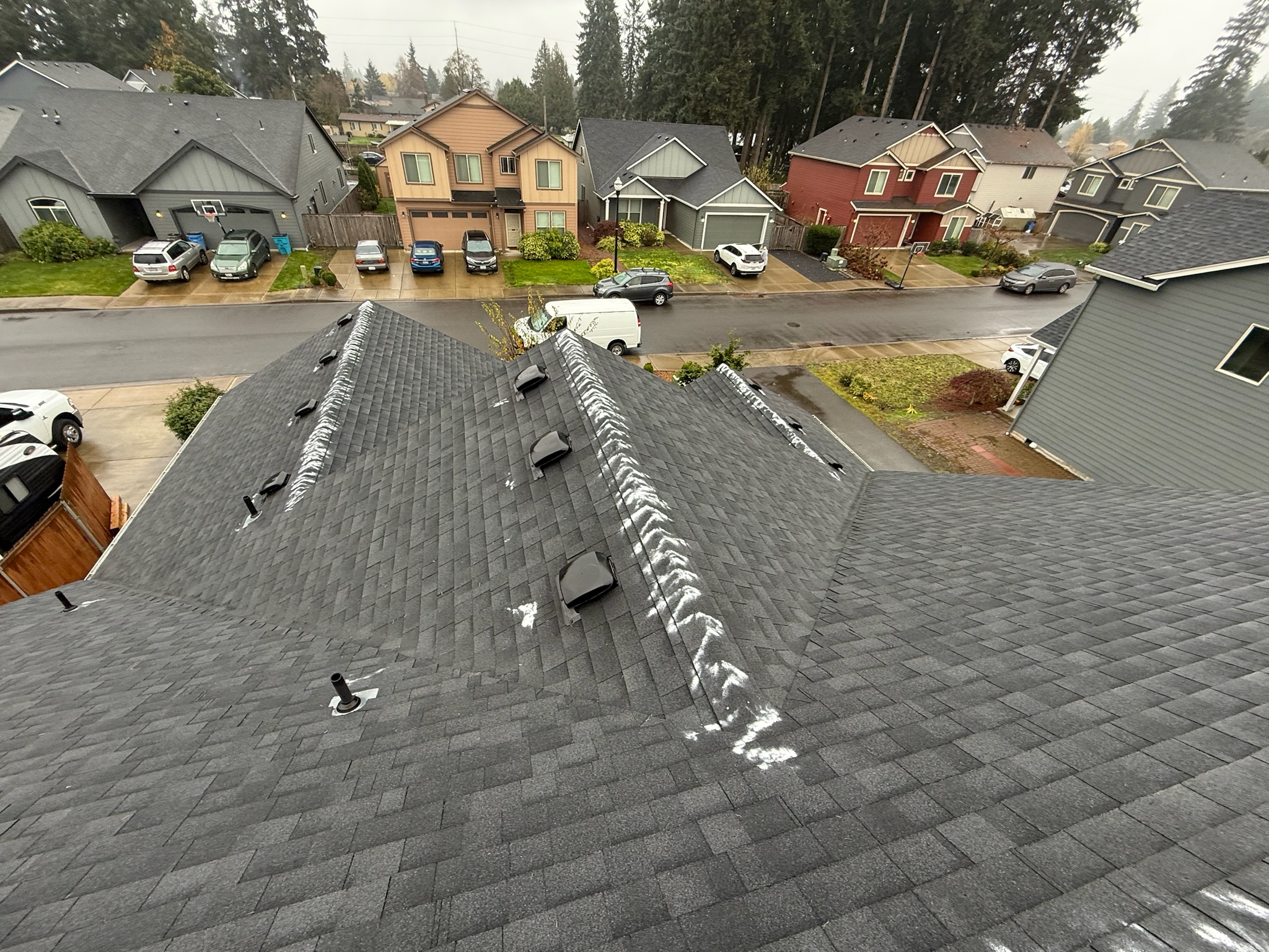 Professional Roof & Exterior Cleaning in Vancouver, WA - Alpine Roof and Gutter Cleaning