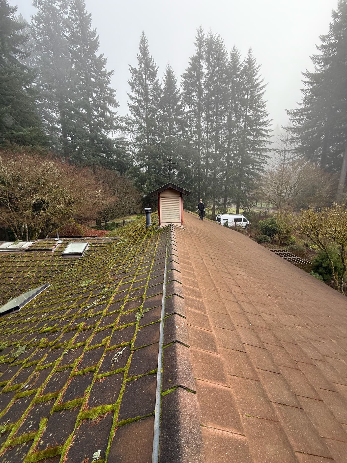 Before and after roof cleaning by Alpine Roof and Gutter Cleaning in Vancouver, WA, showing moss removed from asphalt shingles